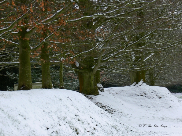 Bois des Moutiers Winterreise (11)